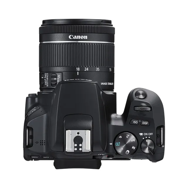 Canon EOS 2000D III 24.1 MP DSLR Camera - Image 4